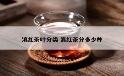 滇红茶叶分类 滇红茶分多少种